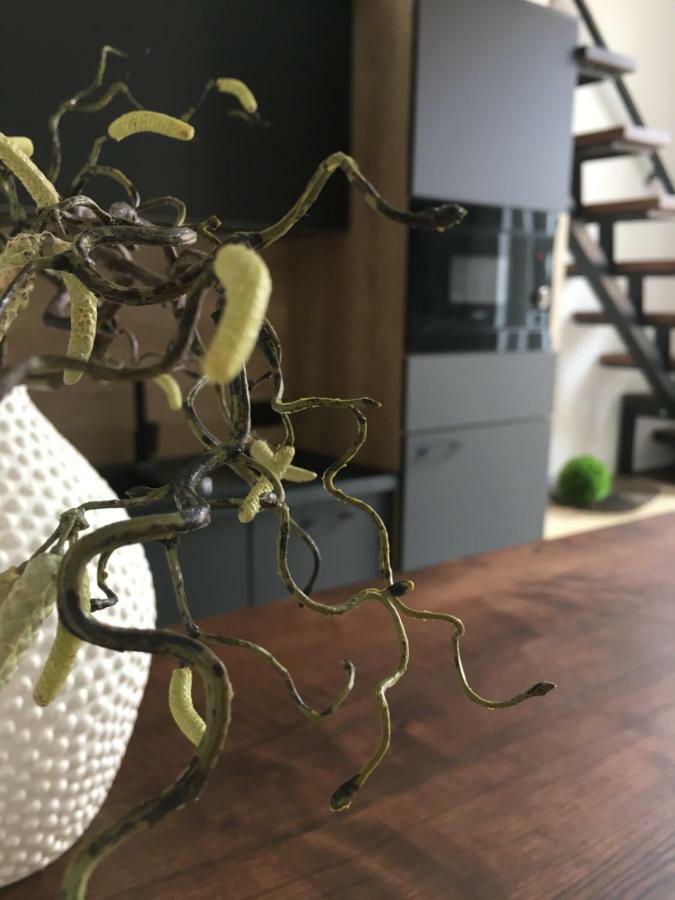 Goodmood Apartment Дебрецен Экстерьер фото